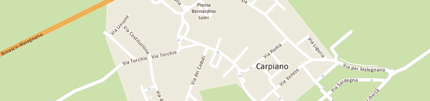 Mappa della impresa marceddi' srl a CARPIANO