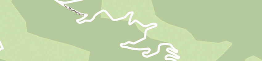 Mappa della impresa pezzetti tonion armando a LOCANA