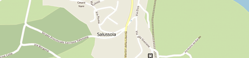 Mappa della impresa center car snc di palladino e c a SALUSSOLA