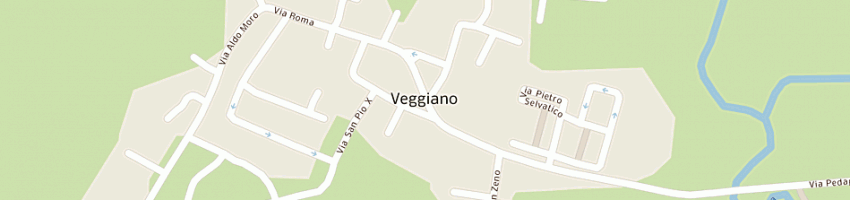 Mappa della impresa rigoni gianni a VEGGIANO