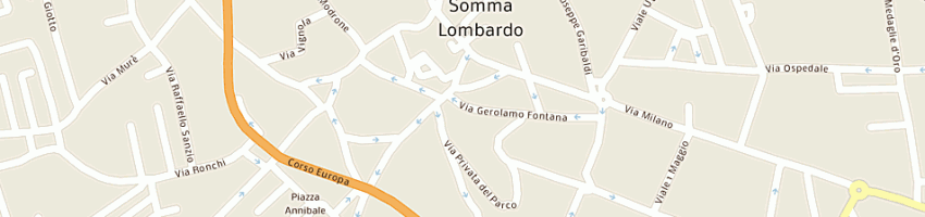 Mappa della impresa new aga di grossoni celestina a SOMMA LOMBARDO