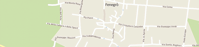 Mappa della impresa scuola elementare a FENEGRO 