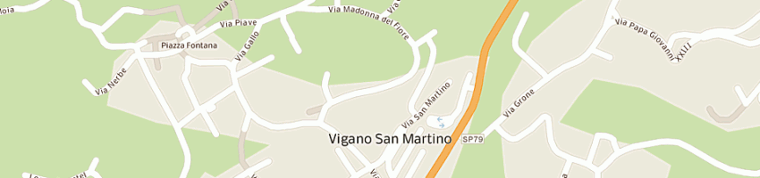 Mappa della impresa benis valerio a VIGANO SAN MARTINO