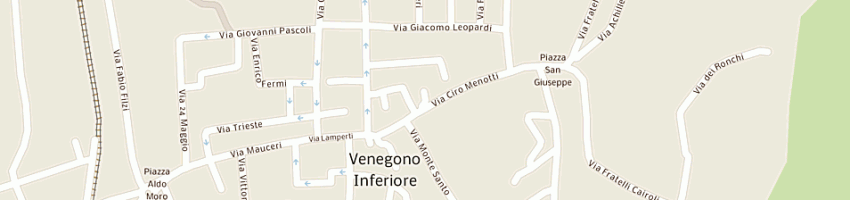 Mappa della impresa municipio a VENEGONO INFERIORE