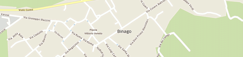 Mappa della impresa carlini luigi a BINAGO