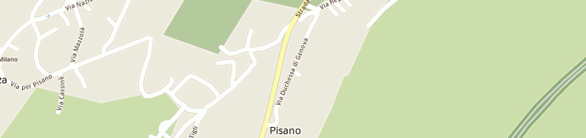 Mappa della impresa of di vivarelli flavio a PISANO
