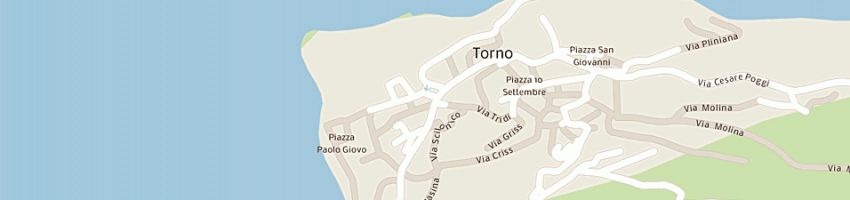 Mappa della impresa auxigene sas filiale italiana a TORNO