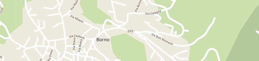 Mappa della impresa cogim srl a BORNO