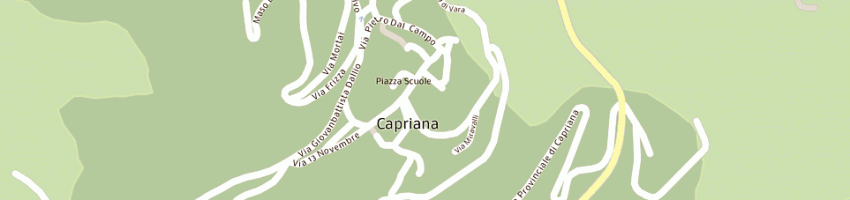 Mappa della impresa azienda per il turismo della valle di fiemme scrl a CAPRIANA