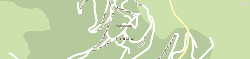 Mappa della impresa zanin alfonso a CAPRIANA