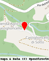 posizione della AZIENDA AGRICOLA CASTIGLIONCELLO DI MONTINI LUCA