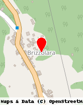 posizione della BRIZZOLARA DELFINA