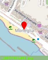 posizione della MONEGLIA SRL