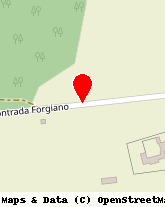 posizione della FOGGIA DOMENICO