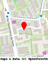 posizione della PARAVIA ELEVATORS' SERVICE
