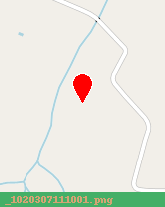 posizione della AVIS AUTONOLEGGIO SPA