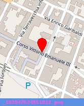 posizione della TRIPODI MICHELANGELO