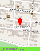 posizione della FGF FONDERIA GHISA FROSSASCO (SRL)
