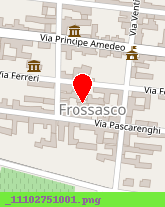 posizione della FGF FONDERIA GHISA FROSSASCO SRL