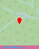 posizione della BORELLINI FRATELLI