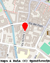 posizione della MENHIR SRL