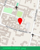 posizione della NIZZOLI SERVIZI SRL
