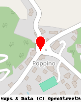 posizione della IL PARQUETTISTA DI MILITELLO FAUSTO