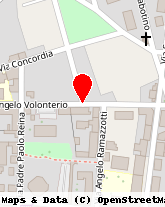 posizione della PROFESSIONALS SRL