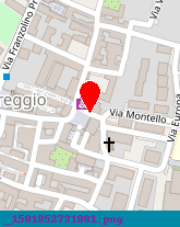 posizione della OREFICERIA LOREGGIA SAS DI LOREGGIA GIANFRANCO e C