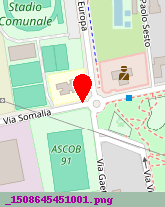 posizione della SOMI SRL