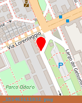 posizione della SCOFIMA SRL