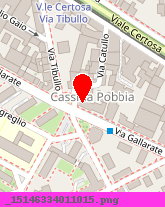 posizione della SALICE OCCHIALI (SRL)