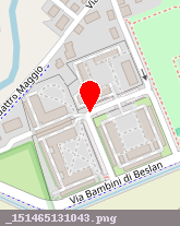 posizione della FIORI DI MILANO SRL
