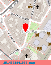 posizione della PALM ITALY SRL