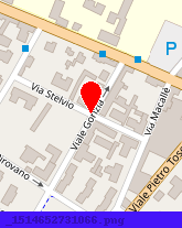 posizione della PASSARIN GIACOMINO