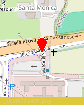 posizione della CENTRO SERVIZI DEL TERZIARIO SAS DI FONTANA CESARE E C ABBREVIATO CST SAS