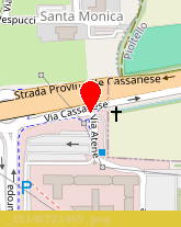 posizione della CENTRO SERVIZI DEL TERZIARIO SAS DI FONTANA CESARE E C ABBREVIATO  CST SAS