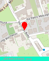 posizione della MAPO SERVIZI SRL