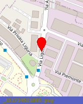 posizione della NETTUNO IMMOBILIARE SRL
