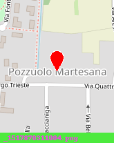 posizione della MARTESANA SERVICE SRL