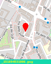 posizione della ELSAT DI BORGATO Ae C SAS