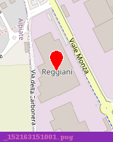 posizione della REGGIANI SPA