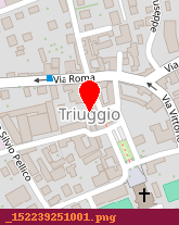 posizione della MUNICIPIO DI TRIUGGIO