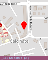 posizione della SAN PAOLO IMI SPA - CALCINATE