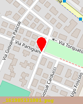 posizione della IVS ITALIA SPA