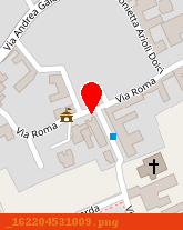 posizione della VIVIANI VALTER