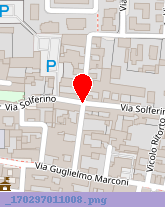 posizione della DOMINO SOC COOP A RL
