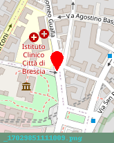 posizione della ISTITUTO CLINICO CITTA-DI BRESCIA SPA