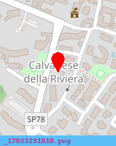 posizione della SALVER DI SALVEMINI RICCARDO