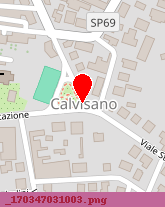 posizione della IMMOBILIARE CAMMI SPA